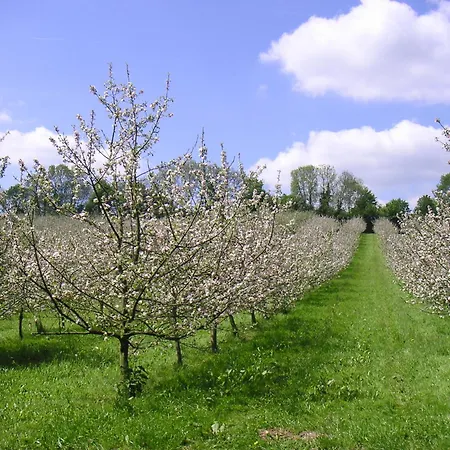 Nyaraló Chez Catherine Saint-Michel-d'Halescourt