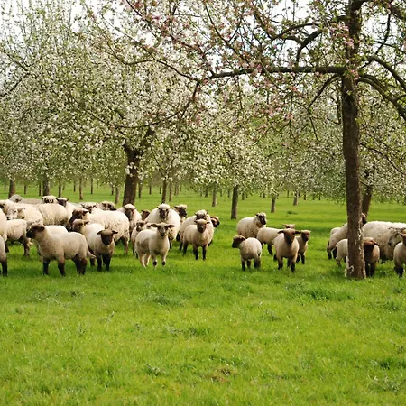 Tatil Evi Chez Catherine *