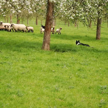 Chez Catherine Nyaraló *