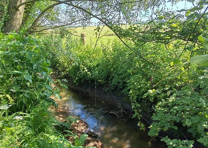 Chez Catherine Saint-Michel-d'Halescourt