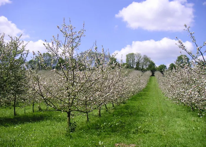 Ferienhaus Chez Catherine Saint-Michel-d'Halescourt