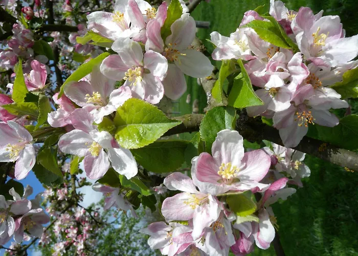 Ferienhaus Chez Catherine *