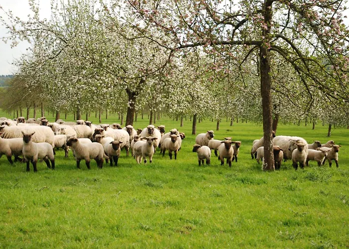 Ferienhaus Chez Catherine *