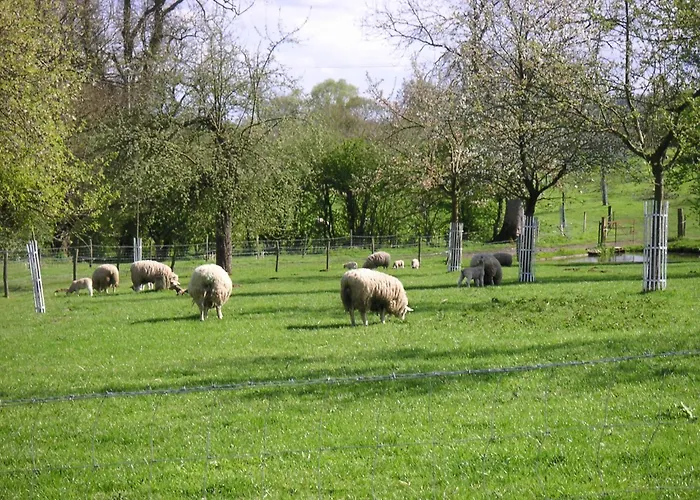 Chez Catherine Ferienhaus Saint-Michel-d'Halescourt