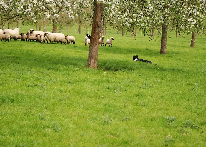 Chez Catherine Ferienhaus *